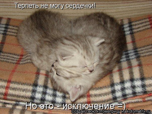 Котоматрица: Терпеть не могу сердечки!  Но это - исключение =)