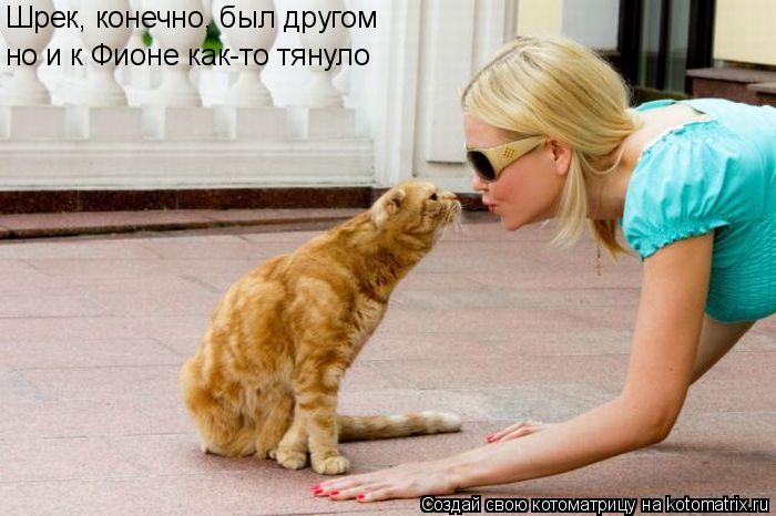 Котоматрица: Шрек, конечно, был другом но и к Фионе как-то тянуло