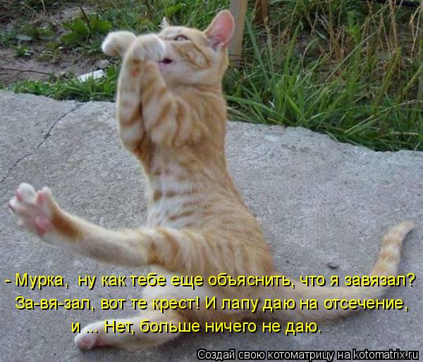 - Мурка, ну как тебе еще объяснить, что я завязал? За-вя-зал, вот те крест! И лапу даю на отсечение,... Котоматрица: - Мурка, ну как тебе еще объяснить, что я завязал? За-вя-зал, вот те крест! И лапу даю на отсечение, и ... Нет, больше ничего не даю.