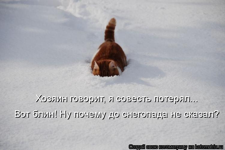 Хозяин говорит, я совесть потерял... Вот блин! Ну почему до снегопада не сказал?... Котоматрица: Хозяин говорит, я совесть потерял... Вот блин! Ну почему до снегопада не сказал?