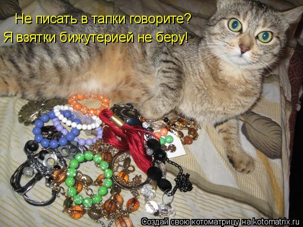 Котоматрица: Не писать в тапки говорите? Я взятки бижутерией не беру!