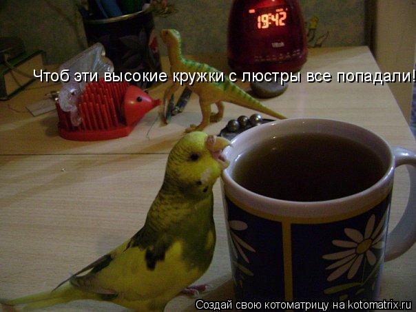 Котоматрица: Чтоб эти высокие кружки с люстры все попадали!