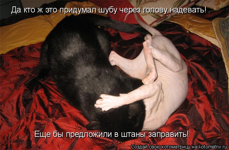 Котоматрица: Да кто ж это придумал шубу через голову надевать! Еще бы предложили в штаны заправить!