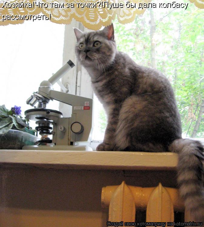 Котоматрица: Хозяйка!Что там за точки?!Луше бы дала колбасу рассмотреть!
