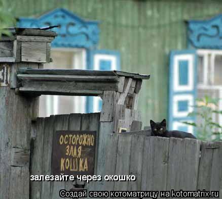 Котоматрица: залезайте через окошко
