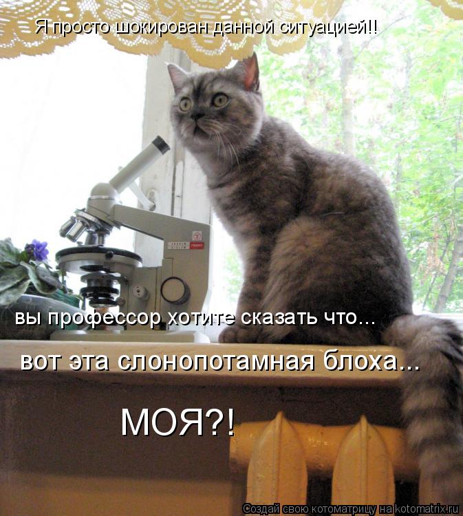 Я просто шокирован данной ситуацией!! вы профессор хотите сказать что... вот эта слонопотамная блоха... Котоматрица: Я просто шокирован данной ситуацией!! вы профессор хотите сказать что... вот эта слонопотамная блоха... МОЯ?!