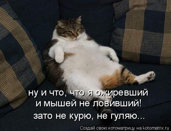 ну и что, что я ожиревший и мышей не ловивший! зато не курю, не гуляю...... Котоматрица: ну и что, что я ожиревший и мышей не ловивший! зато не курю, не гуляю...