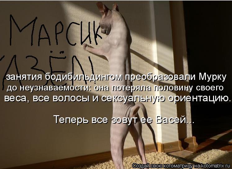 Котоматрица: занятия бодибильдингом преобразовали Мурку до неузнаваемости: она потеряла половину своего  веса, все волосы и сексуальную ориентацию. Те