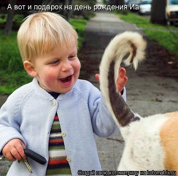Котоматрица: А вот и подарок на день рождения Иа