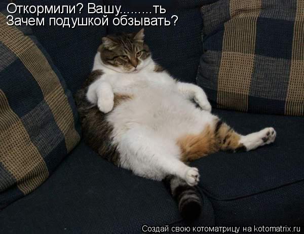 Котоматрица: Откормили? Вашу.........ть Зачем подушкой обзывать?