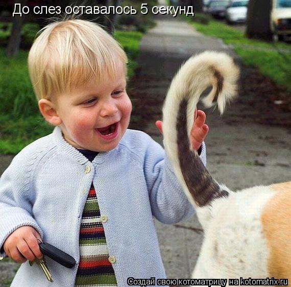 До слез оставалось 5 секунд... Котоматрица: До слез оставалось 5 секунд