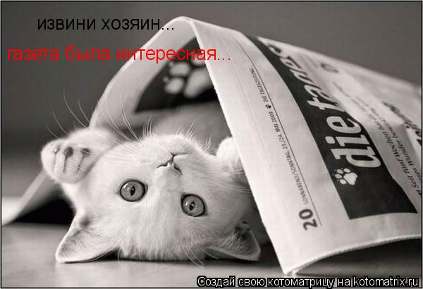 извини хозяин... газета была интересная...... Котоматрица: извини хозяин... газета была интересная...