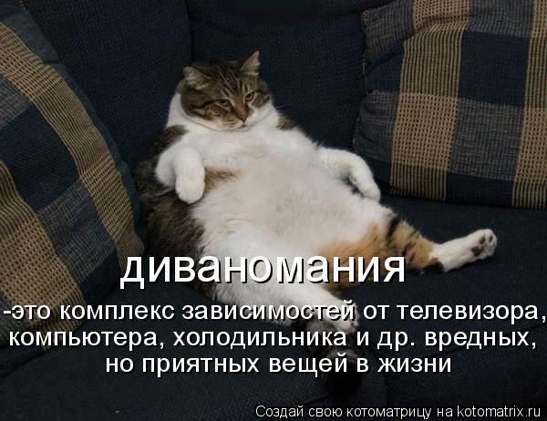 Котоматрица: -это комплекс зависимостей от телевизора, компьютера, холодильника и других вредных, но приятных вещей в жизни компьютера, холодильника и д