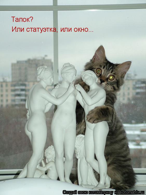 Котоматрица: Тапок? Или статуэтка, или окно...