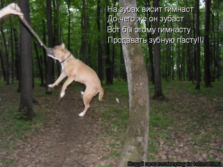 На зубах висит гимнаст До чего же он зубаст Вот бы этому гимнасту Продавать зубную пасту!!!... Котоматрица: На зубах висит гимнаст До чего же он зубаст Вот бы этому гимнасту Продавать зубную пасту!!!