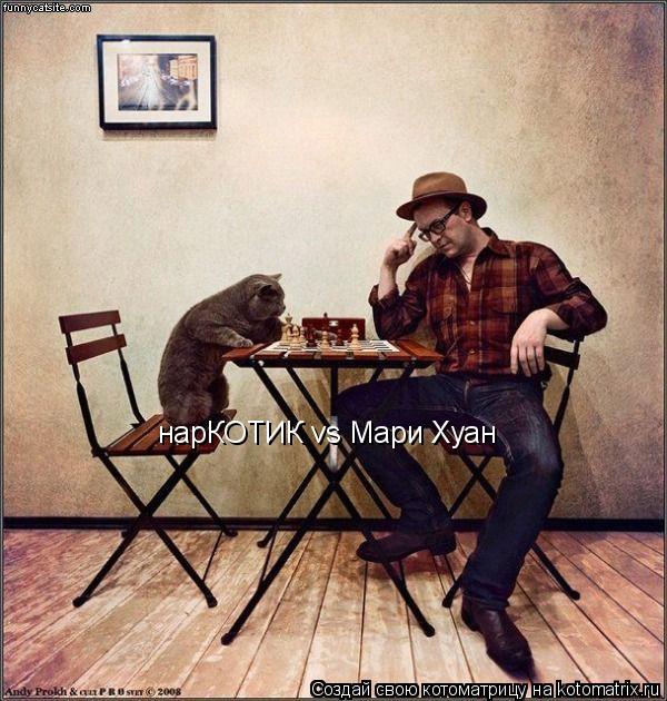 Котоматрица: нарКОТИК vs Мари Хуан