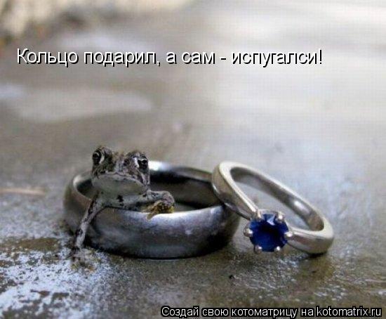 Котоматрица: Кольцо подарил, а сам - испугалси!