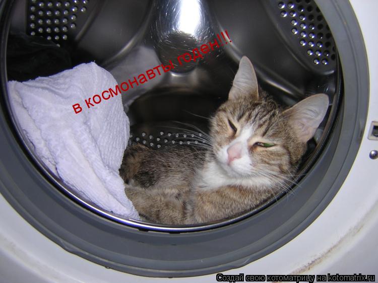 Котоматрица: в космонавты годен!!!