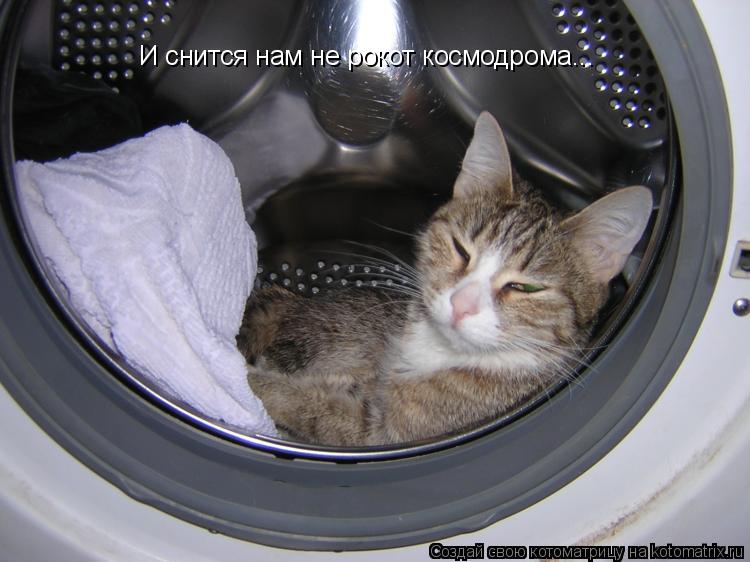 Котоматрица: И снится нам не рокот космодрома...