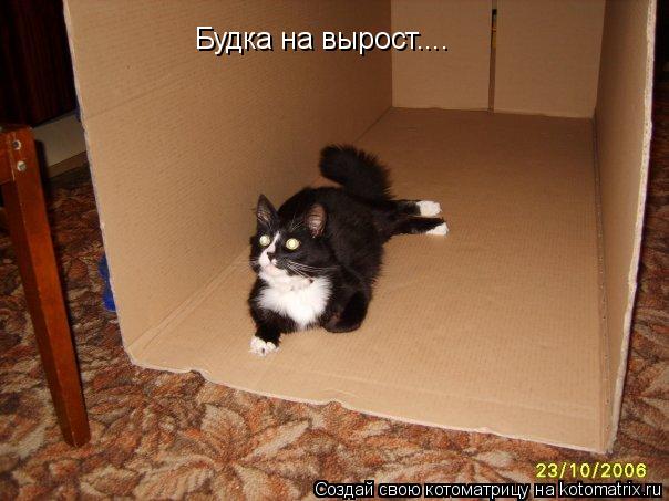 Котоматрица: Будка на вырост....