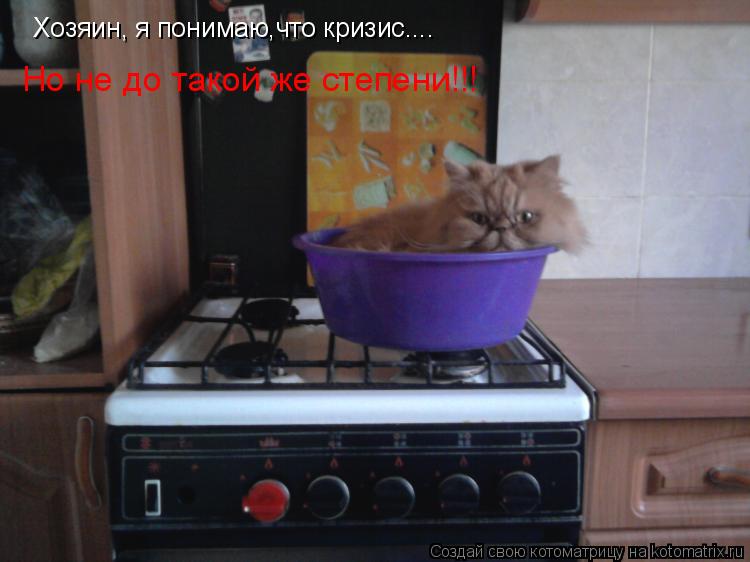 Котоматрица: Хозяин, я понимаю,что кризис.... Но не до такой же степени!!!