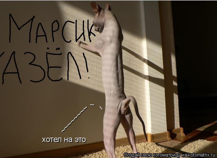 Котоматрица: ~ ~ ~~~~~~~~ хотел на это