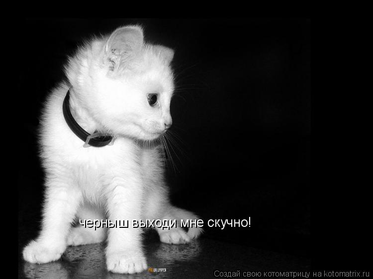 черныш выходи мне скучно!... Котоматрица: черныш выходи мне скучно!