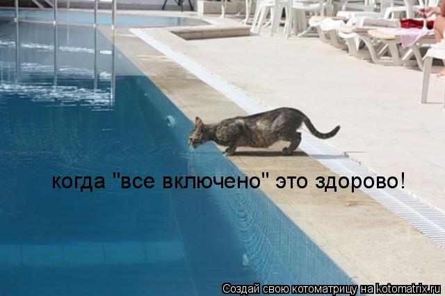 когда "все включено" это здорово!... Котоматрица: когда "все включено" это здорово!