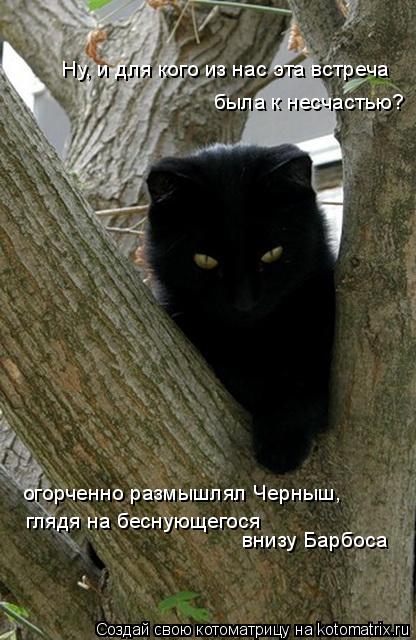 Ну, и для кого из нас эта встреча была к несчастью? огорченно размышлял Черныш, глядя на беснующегося... Котоматрица: Ну, и для кого из нас эта встреча была к несчастью? огорченно размышлял Черныш, глядя на беснующегося внизу Барбоса