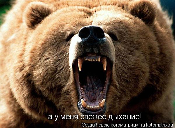 а у меня свежее дыхание!... Котоматрица: а у меня свежее дыхание!