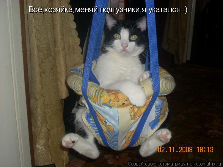 Всё,хозяйка,меняй подгузники,я укатался :)... Котоматрица: Всё,хозяйка,меняй подгузники,я укатался :)