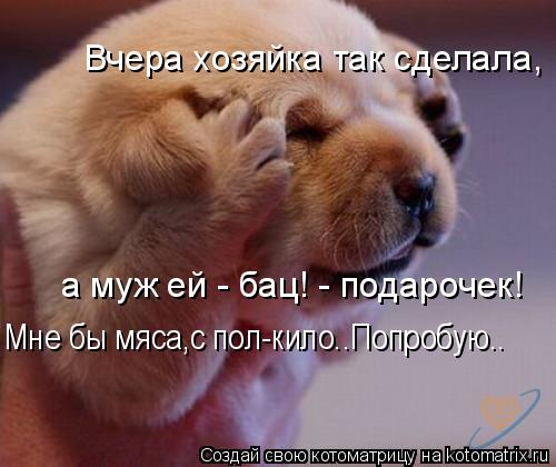 Вчера хозяйка так сделала, а муж ей - бац! - подарочек! Мне бы мяса,с пол-кило..Попробую..... Котоматрица: Вчера хозяйка так сделала, а муж ей - бац! - подарочек! Мне бы мяса,с пол-кило..Попробую..
