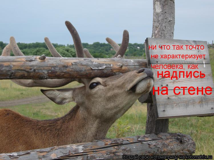 ни что так точто не характеризует человека, как надпись на стене... Котоматрица: ни что так точто не характеризует человека, как надпись на стене