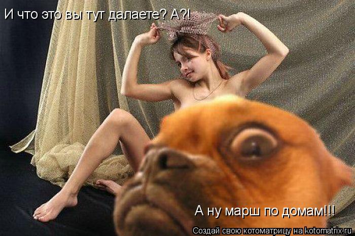 И что это вы тут далаете? А?! А ну марш по домам!!!... Котоматрица: И что это вы тут далаете? А?! А ну марш по домам!!!