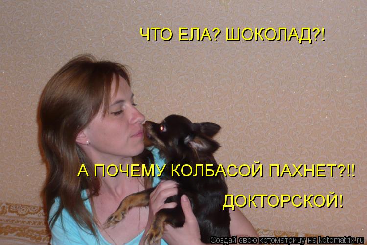 ЧТО ЕЛА? ШОКОЛАД?! А ПОЧЕМУ КОЛБАСОЙ ПАХНЕТ?!! ДОКТОРСКОЙ!... Котоматрица: ЧТО ЕЛА? ШОКОЛАД?! А ПОЧЕМУ КОЛБАСОЙ ПАХНЕТ?!! ДОКТОРСКОЙ!