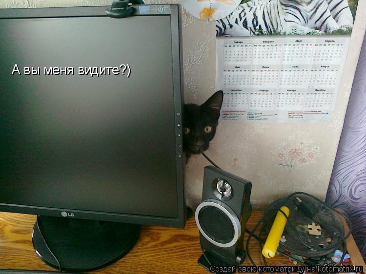 А вы меня видите?)... Котоматрица: А вы меня видите?)