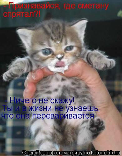 - Признавайся, где сметану спрятал?! - Ничего не скажу! Ты и в жизни не узнаешь, что она переваривае... Котоматрица: - Признавайся, где сметану спрятал?! - Ничего не скажу! Ты и в жизни не узнаешь, что она переваривается