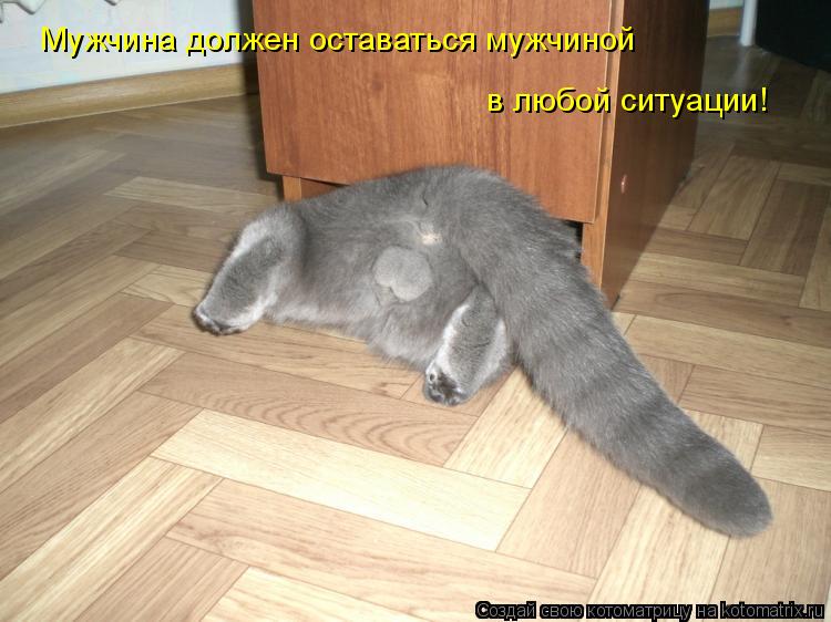 Мужчина должен оставаться мужчиной в любой ситуации!... Котоматрица: Мужчина должен оставаться мужчиной в любой ситуации!