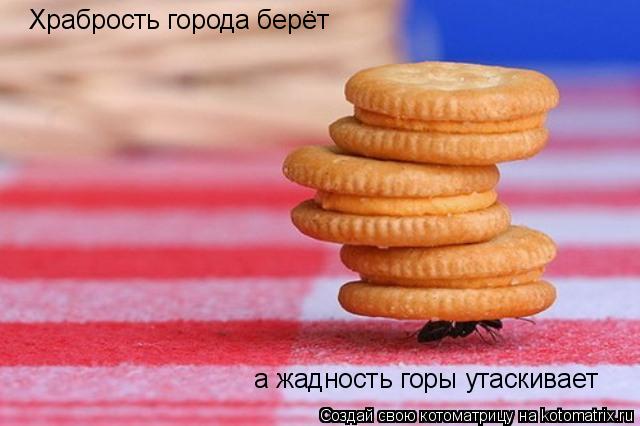 Храбрость города берёт а жадность горы утаскивает... Котоматрица: Храбрость города берёт а жадность горы утаскивает