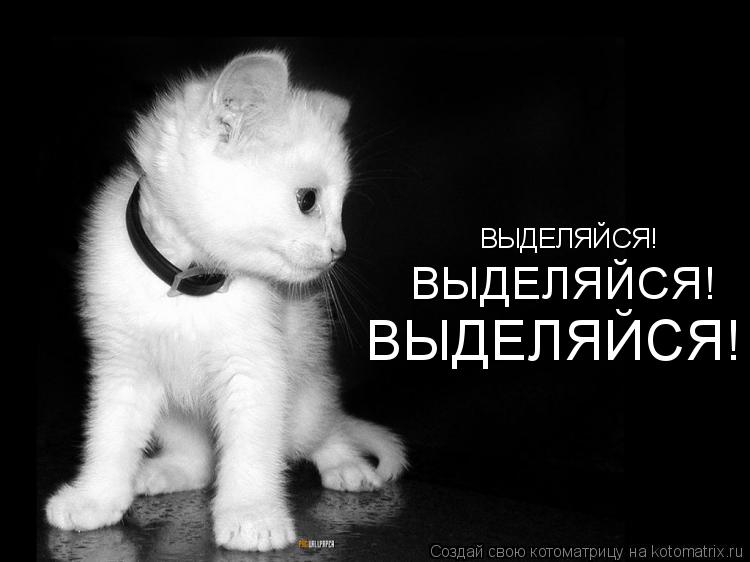 ВЫДЕЛЯЙСЯ! ВЫДЕЛЯЙСЯ! ВЫДЕЛЯЙСЯ!... Котоматрица: ВЫДЕЛЯЙСЯ! ВЫДЕЛЯЙСЯ! ВЫДЕЛЯЙСЯ!