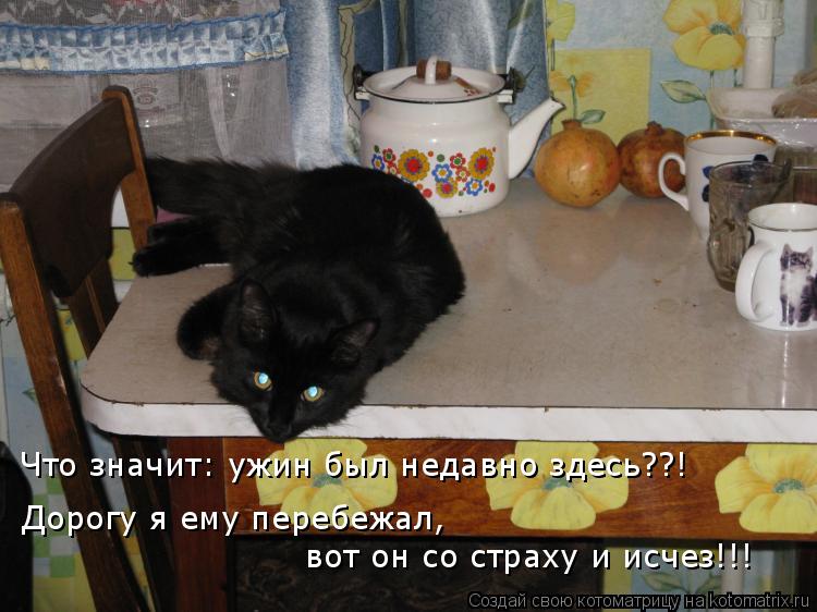 Дорогу я ему перебежал, вот он со страху и исчез!!! Что значит: ужин был недавно здесь??!... Котоматрица: Дорогу я ему перебежал, вот он со страху и исчез!!! Что значит: ужин был недавно здесь??!