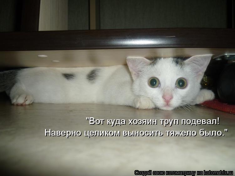 "Вот куда хозяин труп подевал! Наверно целиком выносить тяжело было."... Котоматрица: "Вот куда хозяин труп подевал! Наверно целиком выносить тяжело было."