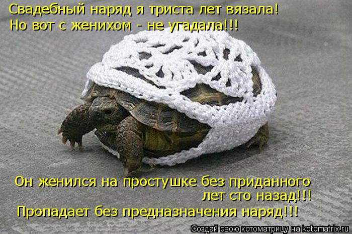 Свадебный наряд я триста лет вязала! Но вот с женихом - не угадала!!! Он женился на простушке без при... Котоматрица: Свадебный наряд я триста лет вязала! Но вот с женихом - не угадала!!! Он женился на простушке без приданного лет сто назад!!! Пропадает без пре