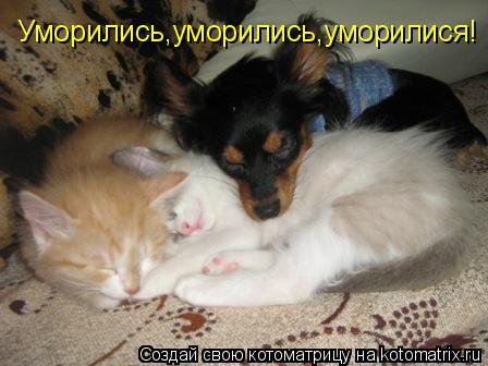 Уморились,уморились,уморилися!... Котоматрица: Уморились,уморились,уморилися!