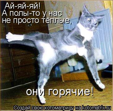 Котоматрица: Ай-яй-яй! А полы-то у нас не просто тёплые, они горячие!