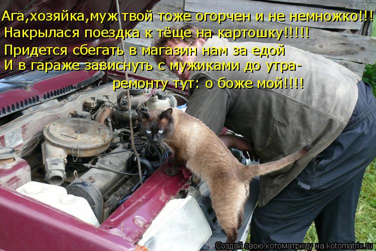 Ага,хозяйка,муж твой тоже огорчен и не немножко!!! Накрылася поездка к тёще на картошку!!!!! Придется... Котоматрица: Ага,хозяйка,муж твой тоже огорчен и не немножко!!! Накрылася поездка к тёще на картошку!!!!! Придется сбегать в магазин нам за едой И в гараже з