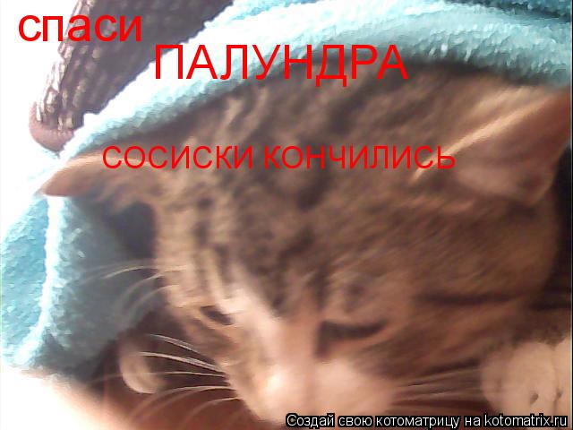 ПАЛУНДРА спаси СОСИСКИ КОНЧИЛИСЬ... Котоматрица: ПАЛУНДРА спаси СОСИСКИ КОНЧИЛИСЬ