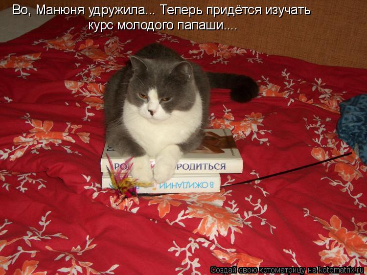 Во, Манюня удружила... Теперь придётся изучать курс молодого папаши....... Котоматрица: Во, Манюня удружила... Теперь придётся изучать курс молодого папаши....