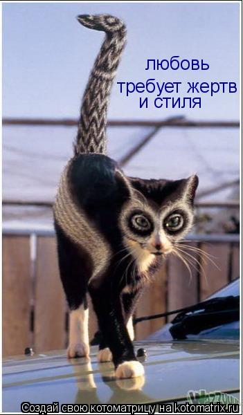требует жертв любовь и стиля... Котоматрица: требует жертв любовь и стиля
