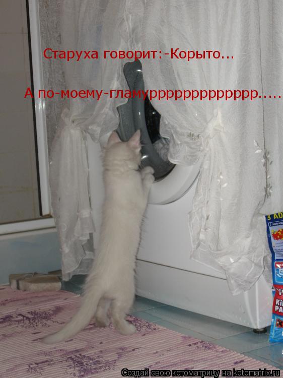Старуха говорит:-Корыто... А по-моему-гламуррррррррррррр......... Котоматрица: Старуха говорит:-Корыто... А по-моему-гламуррррррррррррр......